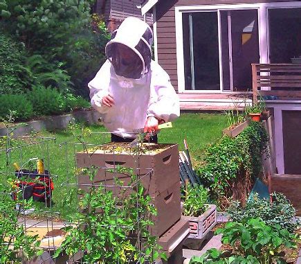 PSBA's Backyard Beekeeping Class - Puget Sound Beekeepers Association