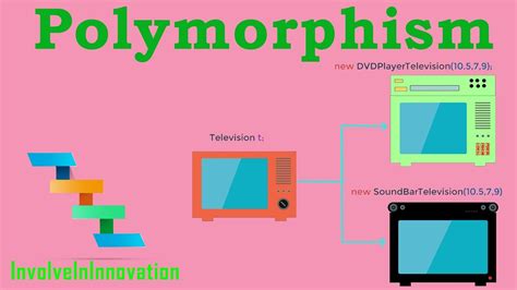 Polymorphism java - maindeveloper