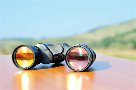 Reviews of the Best Binoculars of 2024 - Optics Den