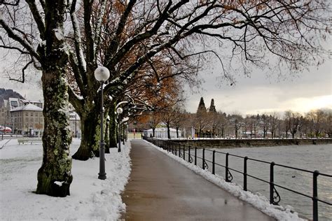 Bodensee Bregenz Winter Am - Kostenloses Foto auf Pixabay - Pixabay