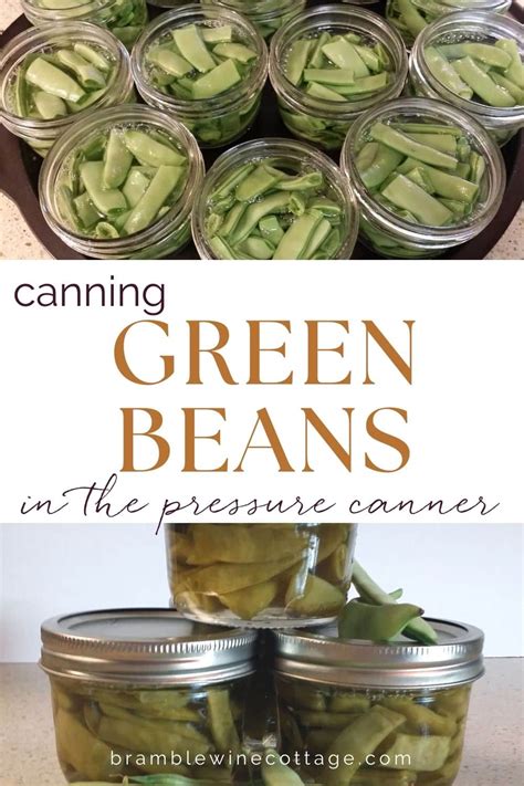 Canning Green Beans Step by Step - Bramble Wine Cottage