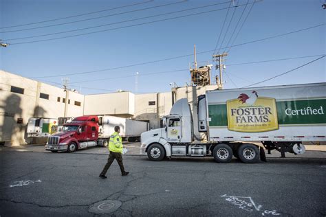 Labor union threatens CA Foster Farms boycott due to COVID-19 | Fresno Bee