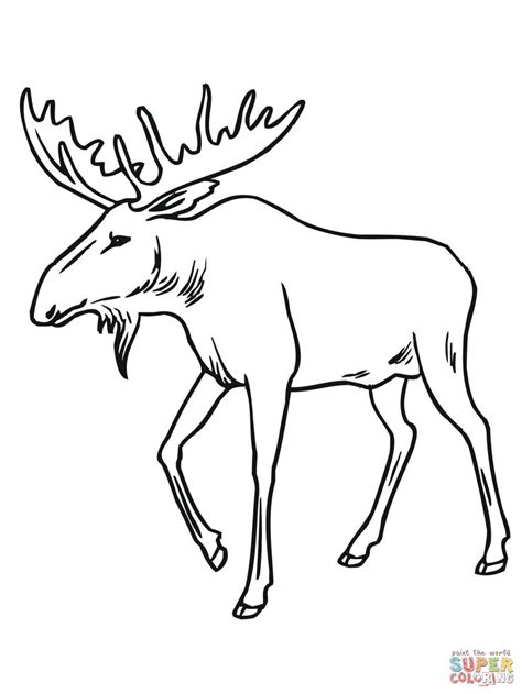 Pin on Coloring Pages