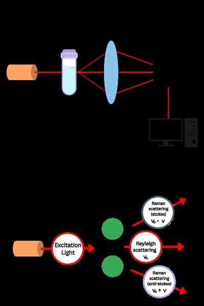 Infrared vs. Raman Spectroscopy: A Comparison