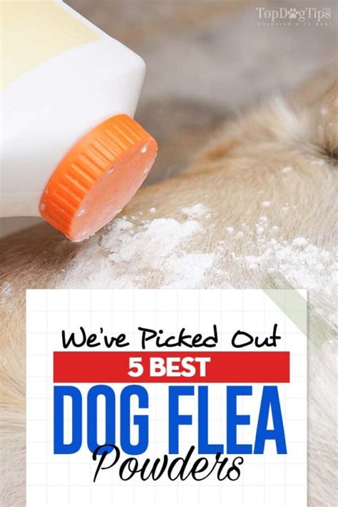 The Best Dog Flea Powder Brands (Applying to Dogs or Home)