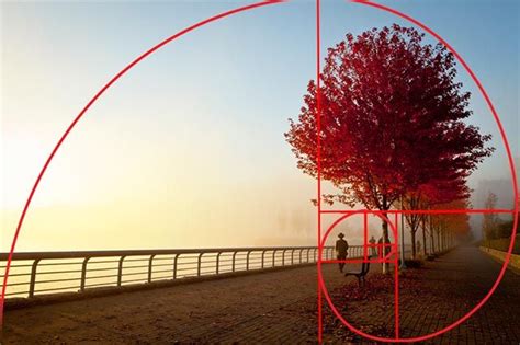 How to Use the Golden Ratio to Improve Your Photography | Photo ...