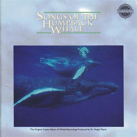 Humpback Whale - Songs Of The Humpback Whale (1991, CD) | Discogs