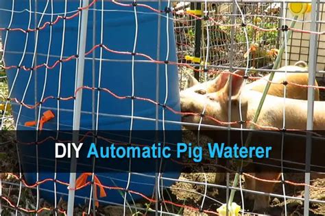 DIY Automatic Pig Waterer