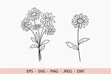 Daisy Svg Outline Flowers Bouquet Cricut Graphic by GreatSVG by Elena Platova · Creative Fabrica