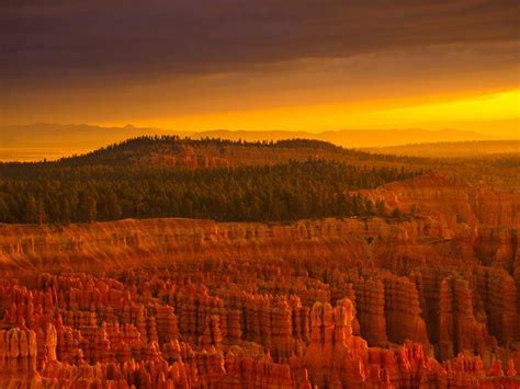 A Brilliant Sunrise At Bryce Canyon