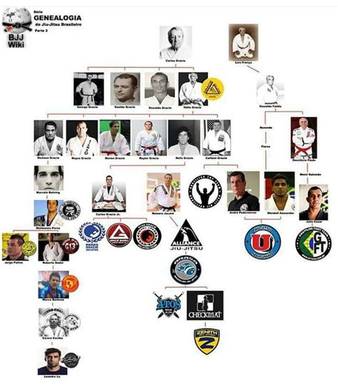 Árvore genealógica do Jiu-Jitsu brasileiro ️ [HISTÓRIA]