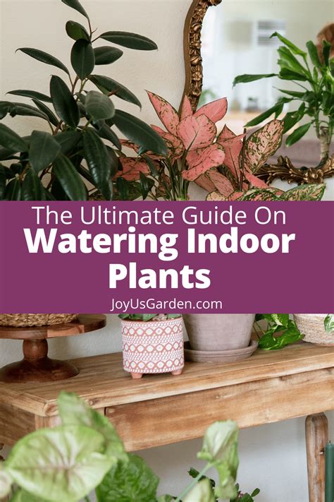 Watering Indoor Plants, A Complete Guide | Joy Us Garden