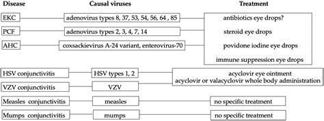 Viruses | Free Full-Text | Viral Conjunctivitis