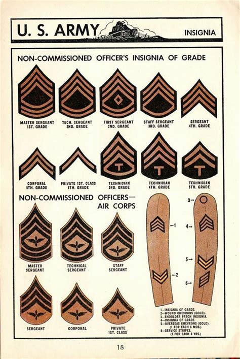 WW2 U.S. Army Enlisted Rank Insignia