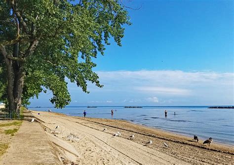 15 Best Beaches in Ohio | PlanetWare