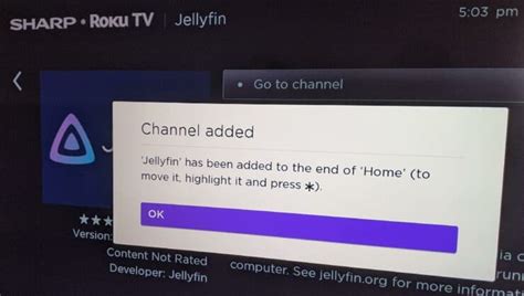 Configuration et examen du client Jellyfin Roku - Media Centerz