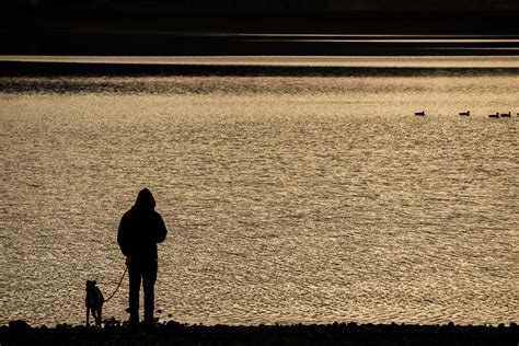 Man, Dog And Water Surface Free Stock Photo - Public Domain Pictures