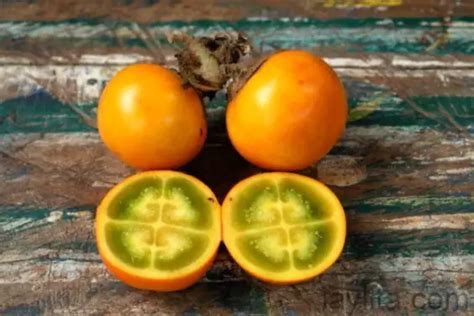 How to Grow Naranjilla Fruit - Plant Instructions