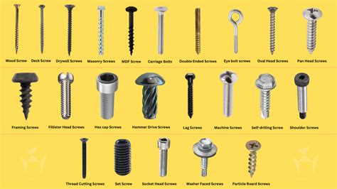 Types Of Screw And Their Uses