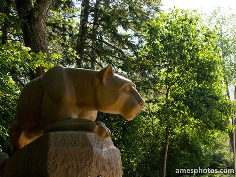 William Ames Photography | Penn State Photos | Nittany Lion Statue in June