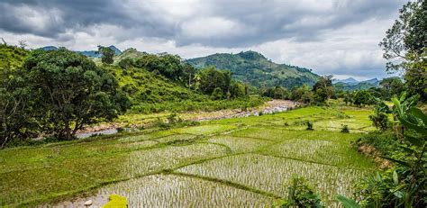 Developing a National Organic Standard for Agriculture in Madagascar ...