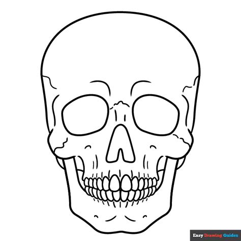 Realistic Skull Coloring Page | Easy Drawing Guides