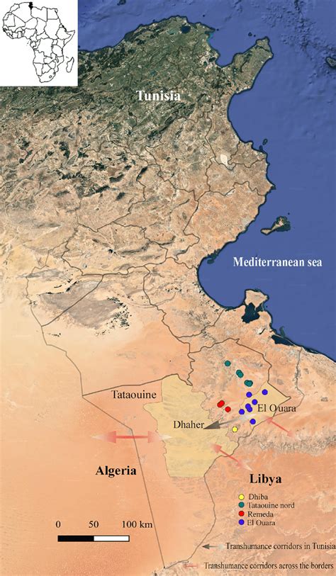 Map of Tunisia showing the geographic positions of the four sampling... | Download Scientific ...