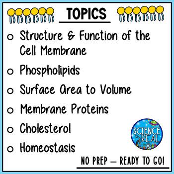 Cell Membrane Amoeba Sisters Video Handout by Science Is Real | TPT