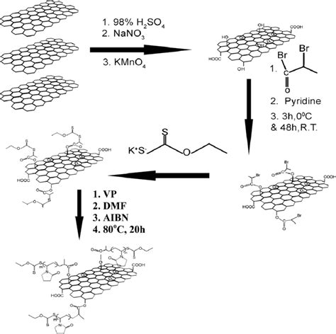 Scheme 1 Synthesis of GO-g-PVP by RAFT polymerization. | Download High ...