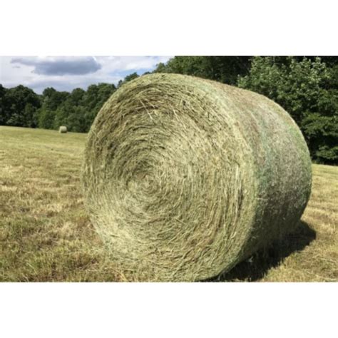 Lucerne/Grassy Round Bale (4x4) - Mamre Produce