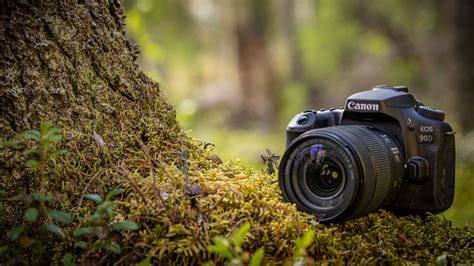 Best Dslr Camera For Video Beginners : There are a few approaches you can make when choosing ...