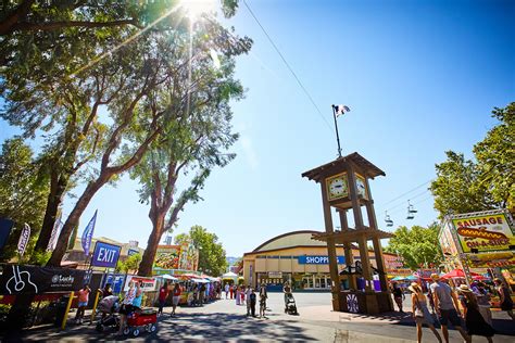 Lost & Found For The Alameda County Fairgrounds