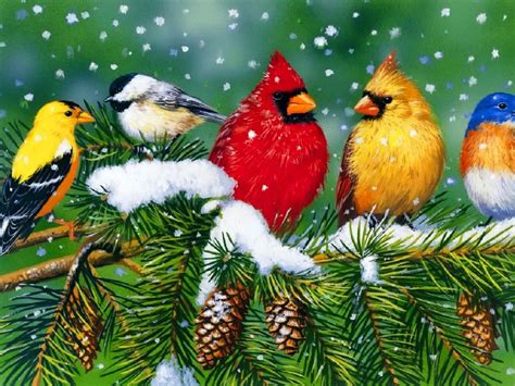 Birds and Blooms Winter Wallpaper - WallpaperSafari