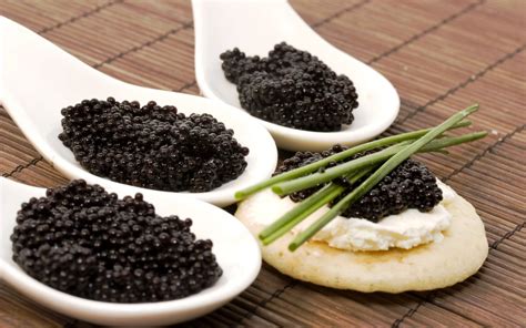 Caviar Full HD Wallpaper and Background Image | 2560x1600 | ID:420002