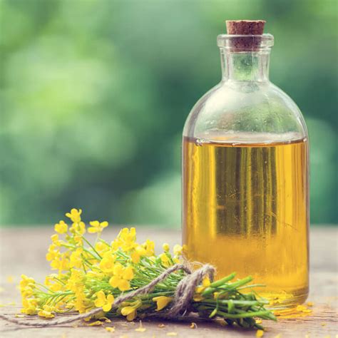 Canola Oil Nutrition Facts: What You Need to Know