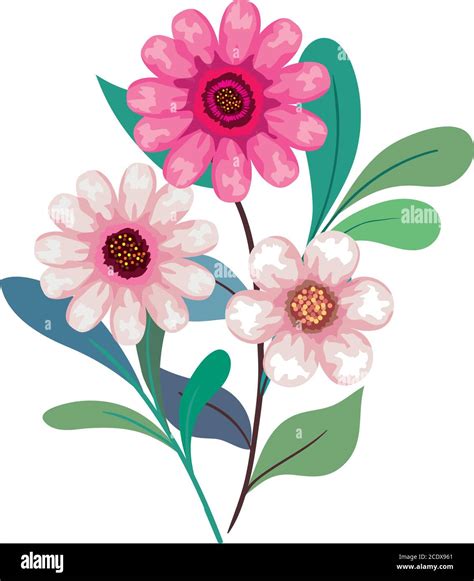 pink flowers drawing with leaves vector design Stock Vector Image & Art ...