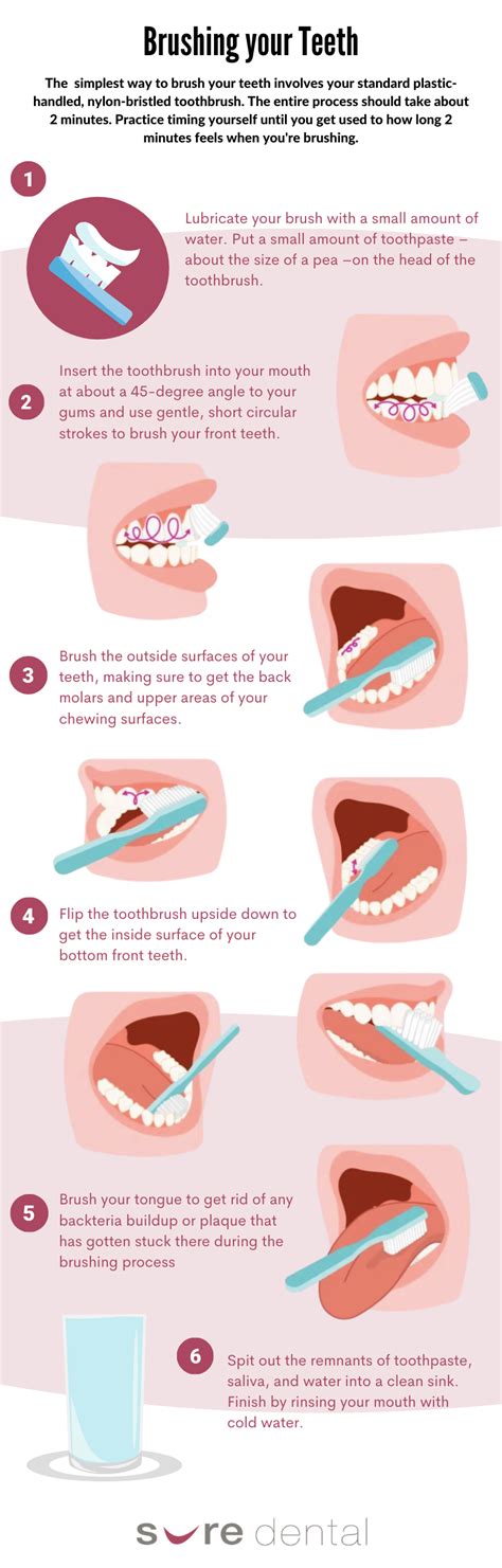 How to Brush your Teeth (INFOGRAPHICS) - Sure Dental