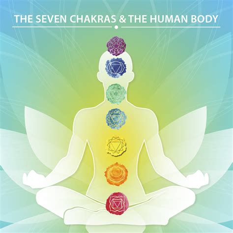 THE SEVEN CHAKRAS & THE HUMAN BODY - Yoga Naturals