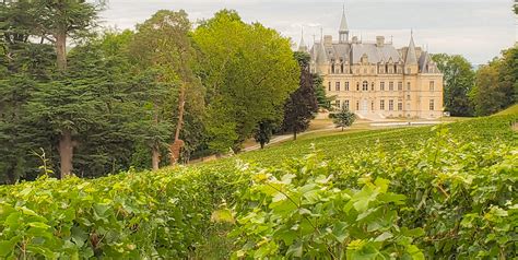 Champagne Dreams in Reims: The Real Champagne Experience