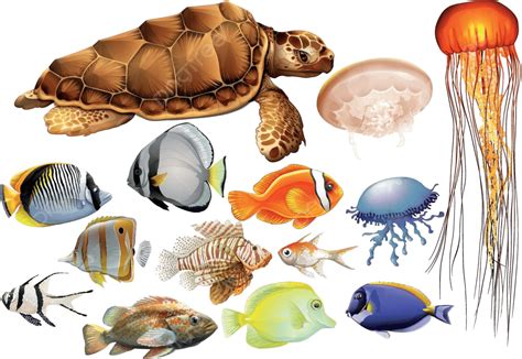 Underwater Sea Or Ocean Animals Set Flat Cartoon Vect - vrogue.co