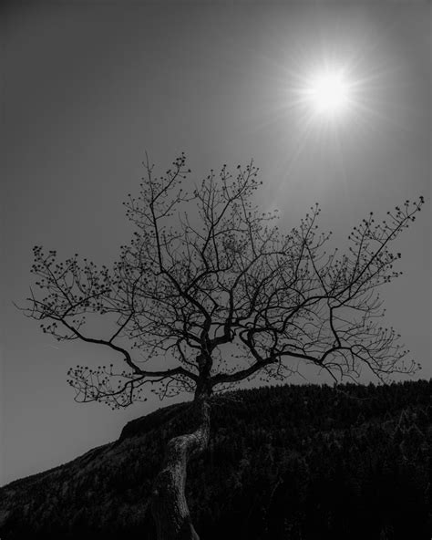 Acadia National Park — JWSmithPhotography