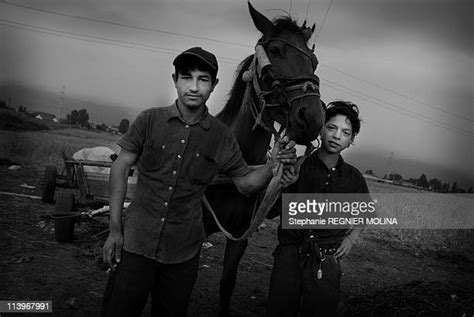 Carpate Photos and Premium High Res Pictures - Getty Images