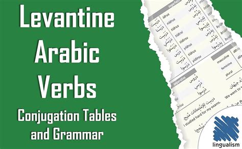 Levantine Arabic Verbs: Conjugation Tables and Grammar: Amazon.co.uk: Aldrich, Matthew ...