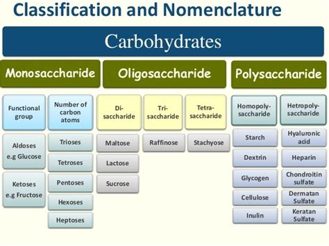 Classification of Carbohydrates | New Health Advisor