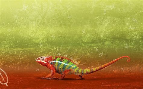 Chameleon Wallpapers - Wallpaper Cave