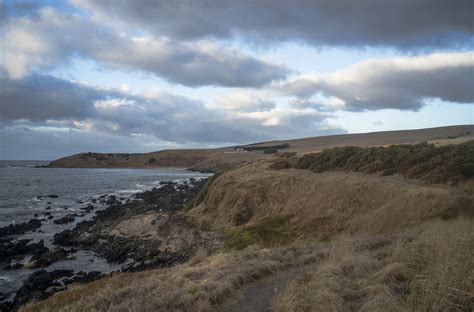 such a bleak landscape - Poodle Walks