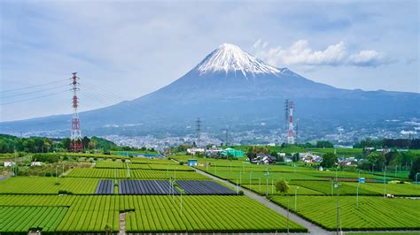 How technology is transforming Japan’s agriculture - Article | The technology transforming ...