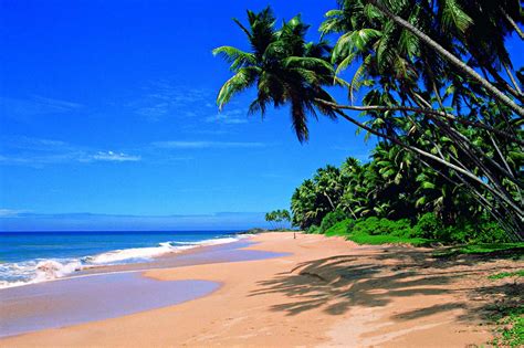 Tangalle | Beaches | Sri Lanka | Travel Destinations