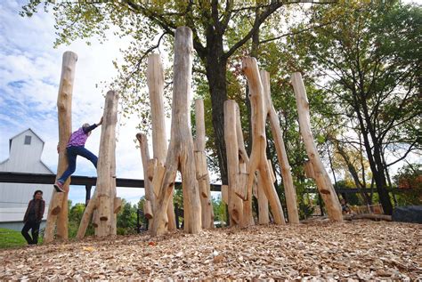 WholeTrees Structures | Minnesota Zoo