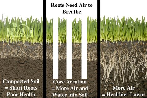 Benefits Of Aeration vs. Verticutting | Ryan Lawn & Tree